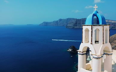 Home: Coral Life & Travel Gallery 4