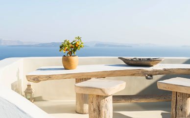 Home: Coral Life & Travel Gallery 6